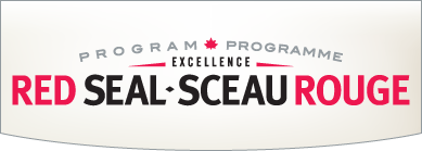 Copy of RedSeal program